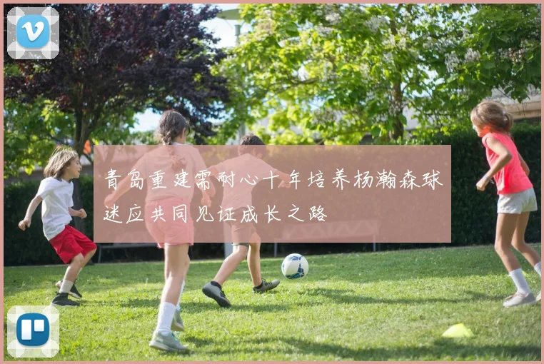 青岛重建需耐心十年培养杨瀚森球迷应共同见证成长之路
