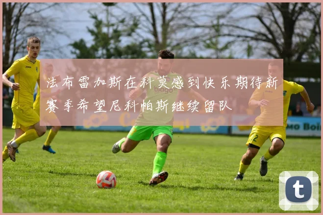 法布雷加斯在科莫感到快乐期待新赛季希望尼科帕斯继续留队